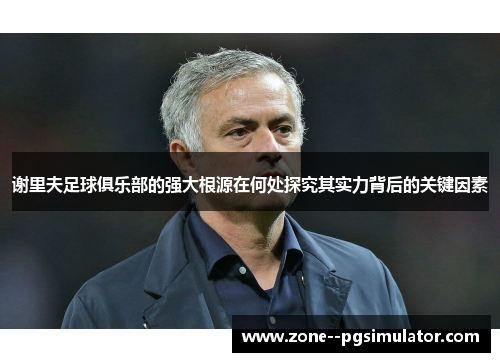 谢里夫足球俱乐部的强大根源在何处探究其实力背后的关键因素 谢里夫足球俱乐部的强大根源在何处探究其实力背后的关键因素