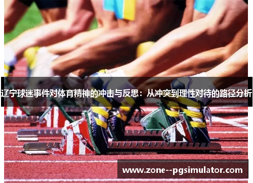 辽宁球迷事件对体育精神的冲击与反思：从冲突到理性对待的路径分析